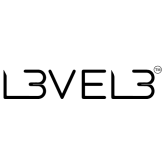 Level 3